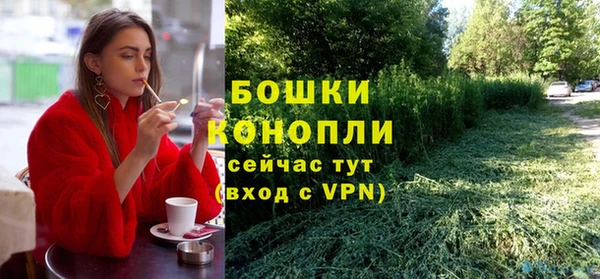 спайс Нягань