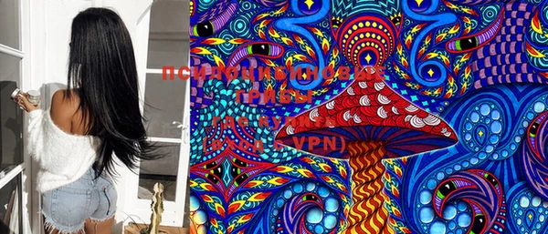 стафф Весьегонск