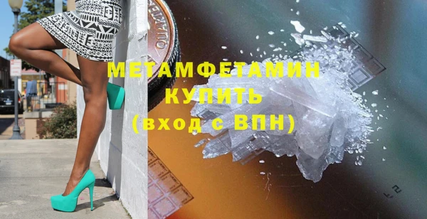трава Няндома