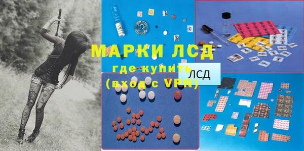 трава Няндома
