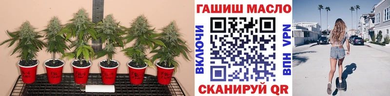 ТГК вейп с тгк купить наркотик Куса