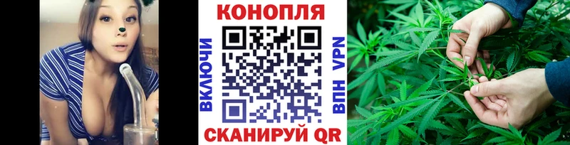 дарнет шоп  KRAKEN ONION  МАРИХУАНА OG Kush  Куса 